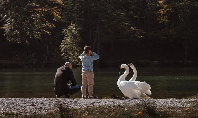 Uneori, bunătatea nu e de ajuns ca să ții familia unită