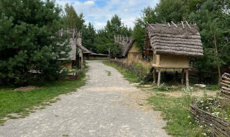 Între Datorii și Dragostea de Mamă: Povestea Mea Despre Supraviețuire și Alegere