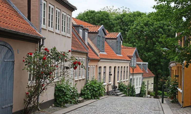 “Anne, Her Gün Arama Beni” — Kalbimi Parçalayan Sözler