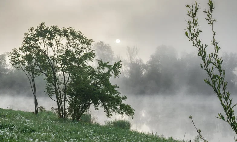 Arkadaşımın Telefonunu Açtım ve Kocamın Sesini Duydum – Her Şeyin Değiştiği Gün