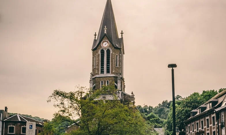 Barışın Elmalı Turtası