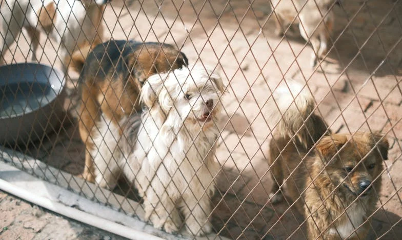Her Şeyin Bir Zamanı Varmış