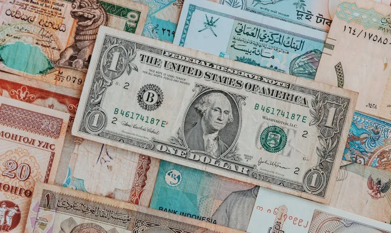 Karla Kapalı: Bir Apartman Güncesi