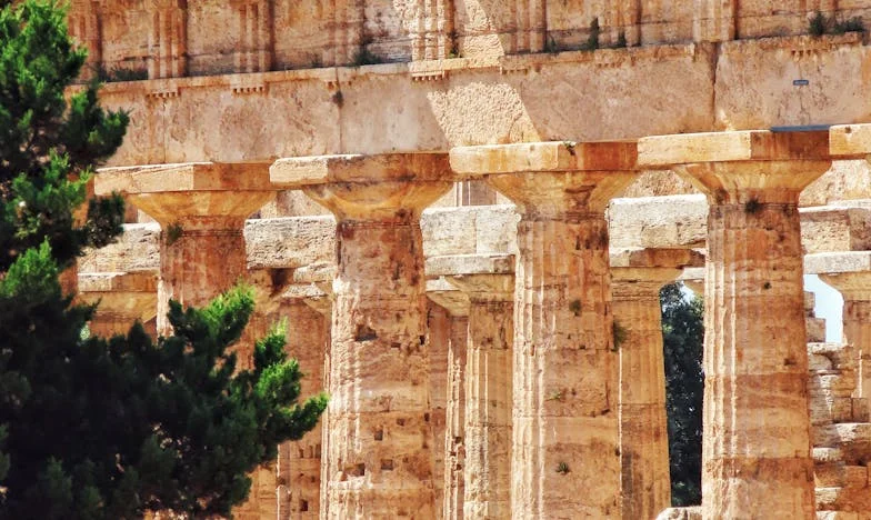 Kırk Yılın Ardından: Mutfak Masasında Bir Hayatın Hesabı