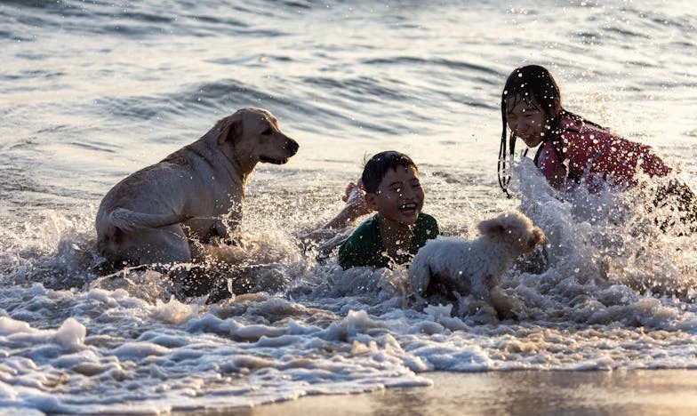 Oda Artık Benim Değil: Bir Ailede Sessiz Fırtına