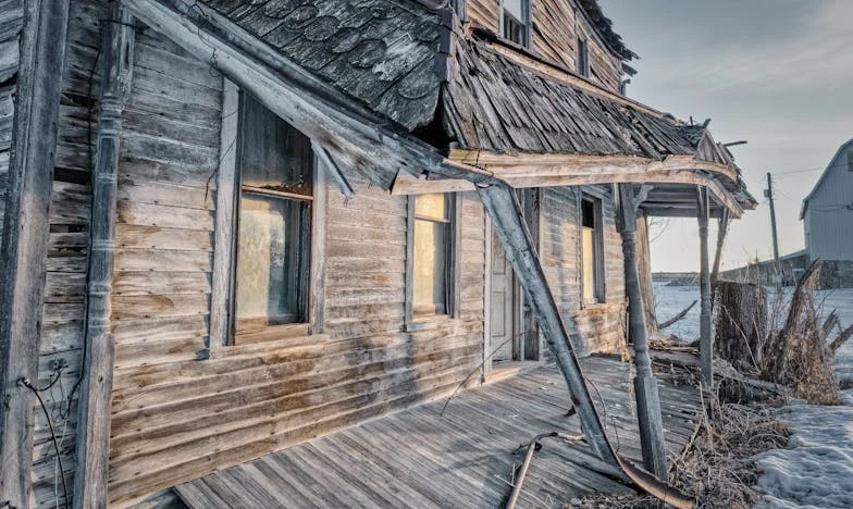 Yabancı Kanın Mirası: Elif’in Hikayesi