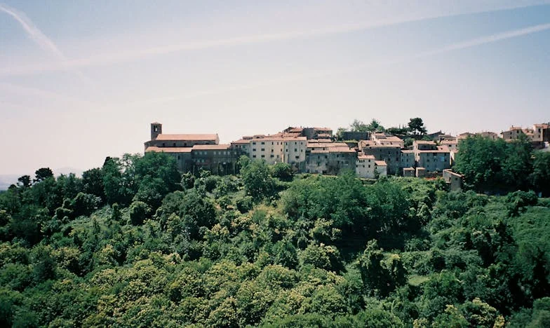 Bir Kase Çorba İçin