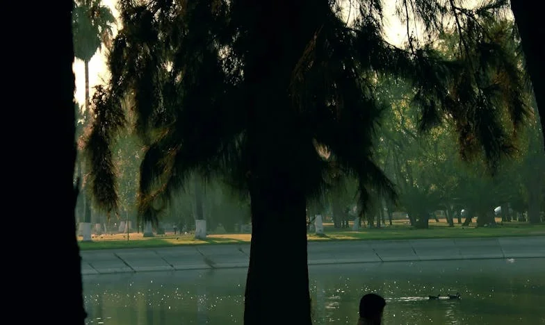 Pazar Günü Yalnızlığı: Bir Anne'nin Dramı