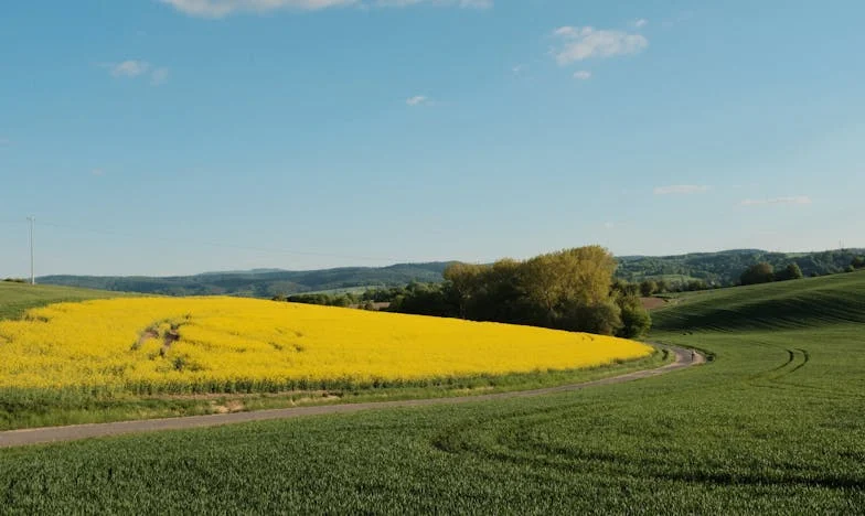 Prezent, który podzielił rodzinę: Kolacja, której nie zapomnę