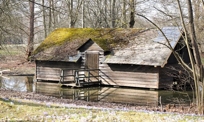 Zrobiłem to, co uważałem za słuszne – historia o rodzinie, winie i odwadze