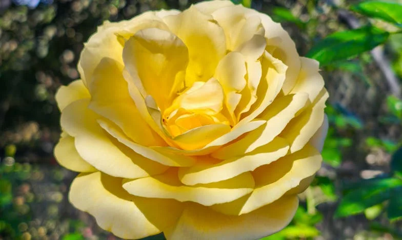 Awans, który zabrała mi obca kobieta – historia Magdy z warszawskiego biura