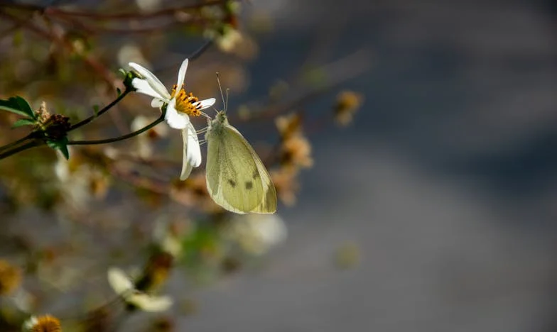 Codziennie sprzątam dla mamy, choć mam własną rodzinę. Ile jeszcze wytrzymam?