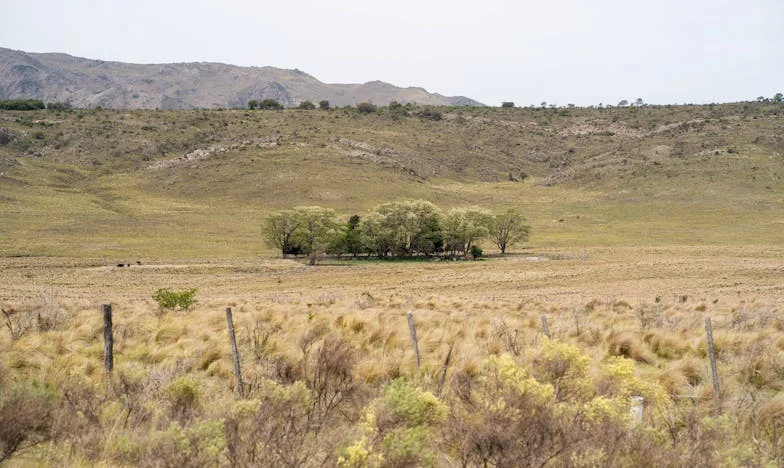 Córka poprosiła, żebym nie mówiła nikomu, że mieszkam u niej. Poczułam się jak intruz we własnej rodzinie