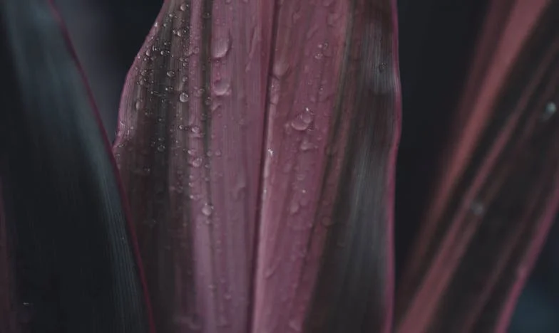 Czy powinnam pozwolić byłej teściowej widywać moją córkę? Historia lojalności, bólu i trudnych wyborów