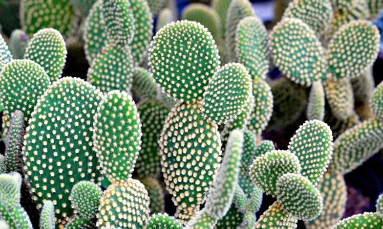 Dlaczego mój syn płakał u babci: Prawda, która rozdarła naszą rodzinę