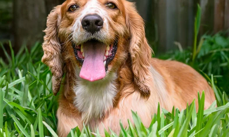 Dom, który nigdy nie był jej – historia walki o własne miejsce w rodzinie