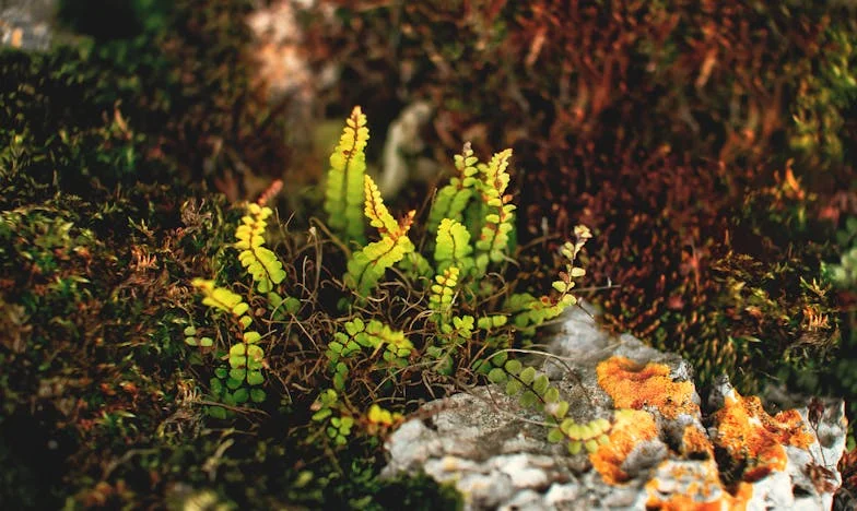 Jedna decyzja, która zmieniła wszystko – Wigilijna noc Marii z Bałut