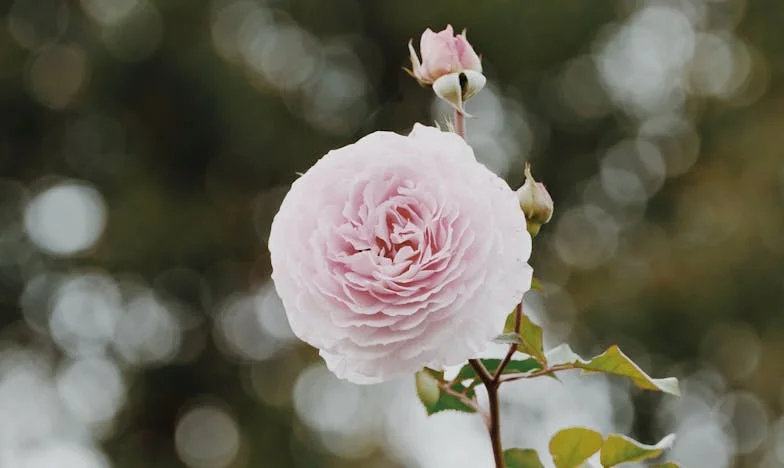 Jesteś potworem, mamo! – Moja ucieczka z prowincji do Warszawy i z powrotem do siebie