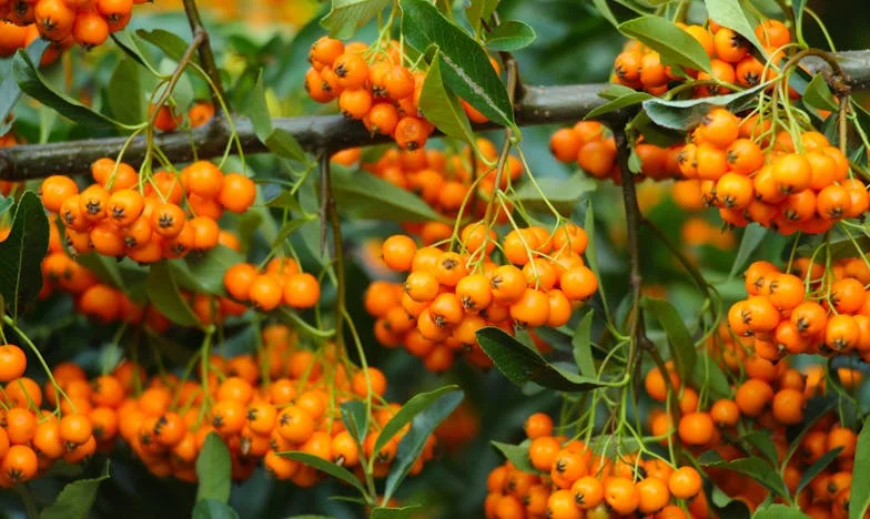 Kiedy świat się wali: Historia samotnej matki walczącej o syna