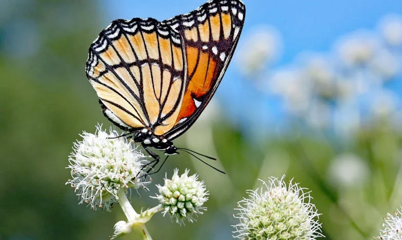 Kiedy teściowa dzwoni o piątej: Czy jestem dobrą matką, czy tylko złą synową?