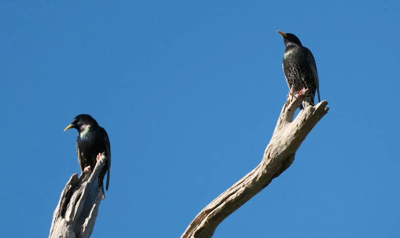 Matczyna Sprawiedliwość: Kiedy Miłość To Za Mało – Moja Walka o Równość w Rodzinie