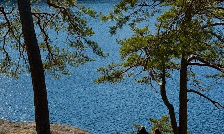 Między czterema ścianami: Kiedy rodzina staje się zagrożeniem. Historia o zaufaniu, zdradzie i walce o siebie