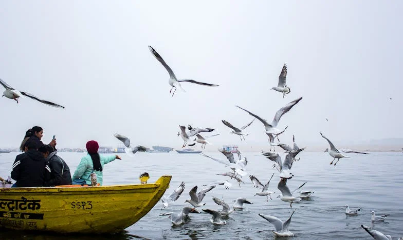 Między dwiema ścianami: Wizyta teściowej, która rozbiła moje małżeństwo