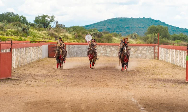 Między dwoma sercami: Opowieść teściowej o winie i przebaczeniu