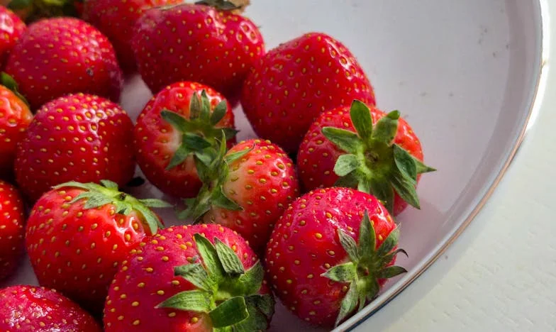 Między dwoma światami: Czy wrócić na wieś, czy zostać w mieście? Moja walka o własne miejsce