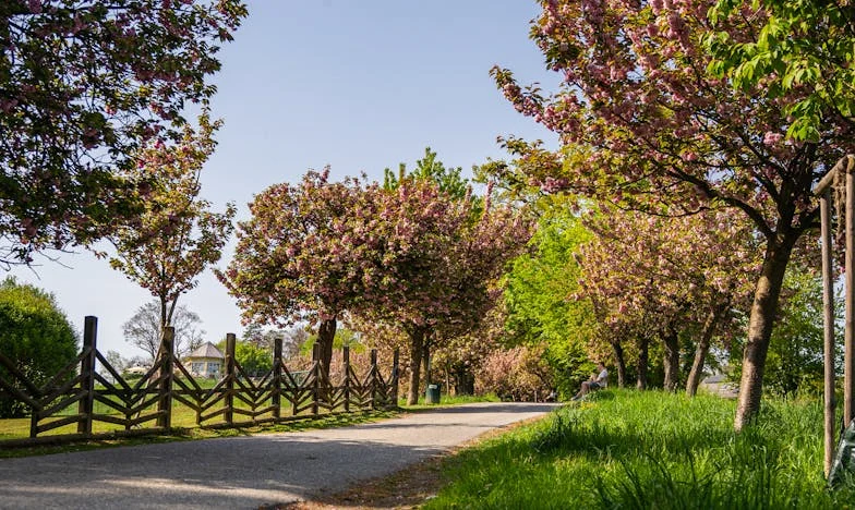 Nie wiedzieliśmy, co się stanie, gdy wysłaliśmy dzieci do babci – historia jednej decyzji, która rozdarła naszą rodzinę