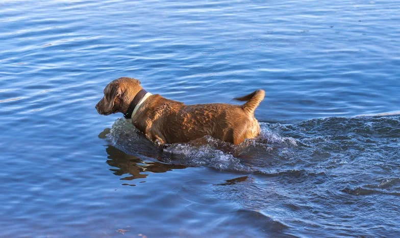 Nieznajomy w moim domu: Prawda, której nikt nie chciał usłyszeć