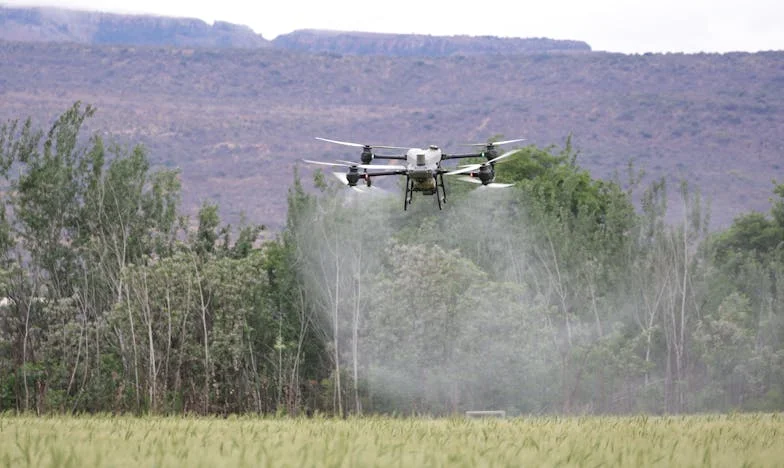 Nowy początek: Jak odzyskaliśmy spokój po wyprowadzce od mojej teściowej