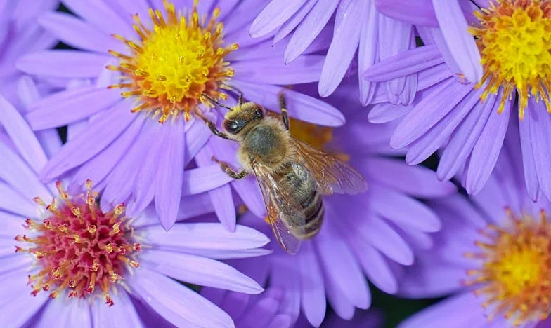 „Oddaj tę sukienkę — i tak ci nie pasuje”: Moja walka ze schematami, intrygami i własną rodziną