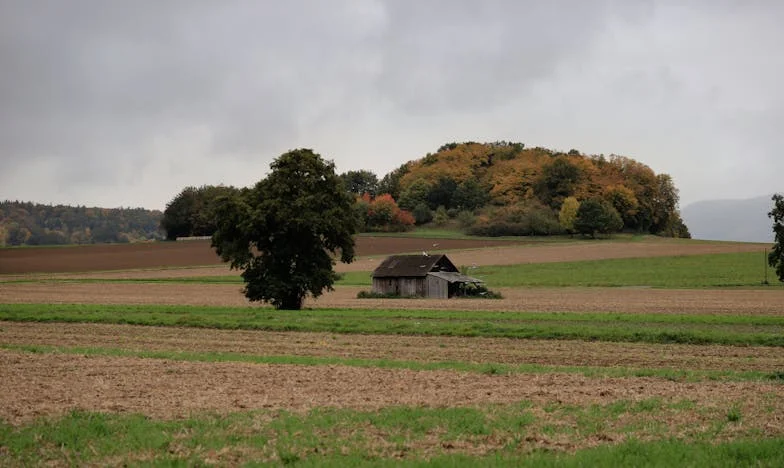 „Oddajcie mi oszczędności, a mieszkanie przepiszę na waszą córkę” – historia, która rozdarła moją rodzinę