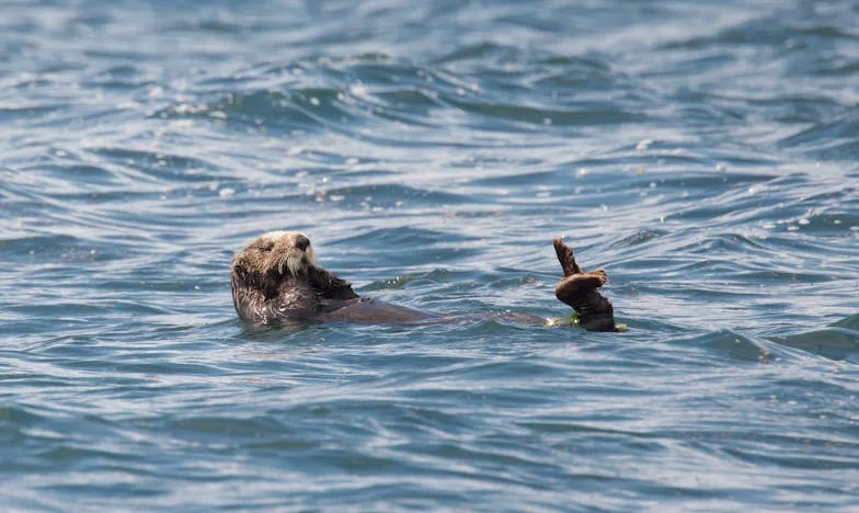 Pięć minut, które zmieniły wszystko: O jednej filiżance herbaty i o wiele więcej