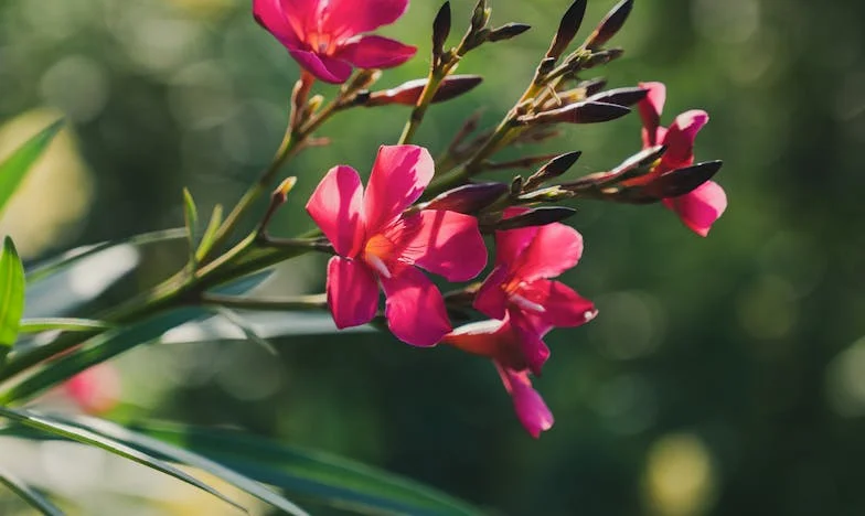 Pokłóciłam się z własną siostrą o rachunki – czy pieniądze naprawdę mogą zniszczyć rodzinę?