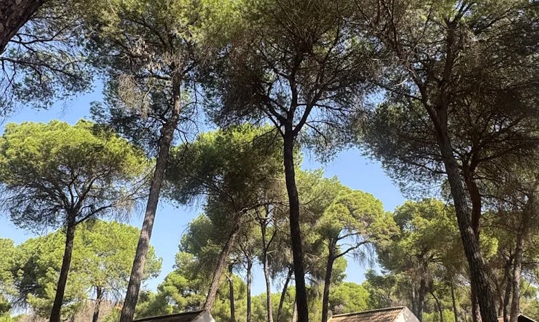 Portfel mojego męża – moja klatka. Czy można odzyskać siebie w małżeństwie pełnym kontroli?