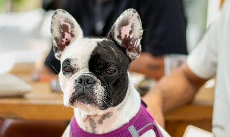 "Przygotuj się. Mama i brat przychodzą rozmawiać o spadku: Skrzywdziłaś brata, nie masz sumienia" – Moja historia rodzinnych tajemnic i zdrad