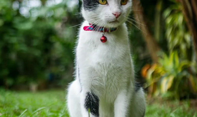 Spotkanie po latach: Zobaczyłem byłą żonę w sklepie i nie poznałem jej. To, co wydarzyło się potem, zmieniło moje życie na zawsze