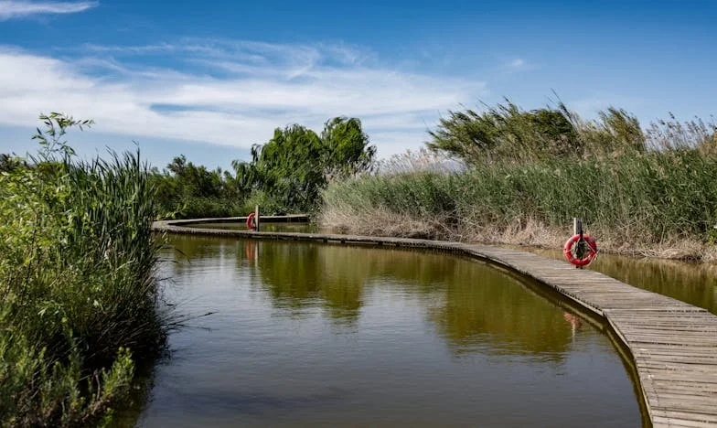Telefon, który rozdarł moje serce: Prawda, której nie chciałam znać