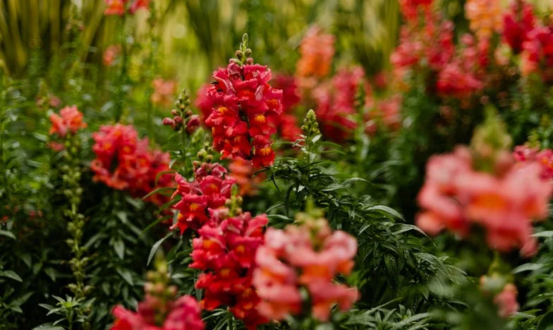 „To tylko rachunek, czy coś więcej?” – Wieczór, który zmienił moje spojrzenie na miłość i relacje