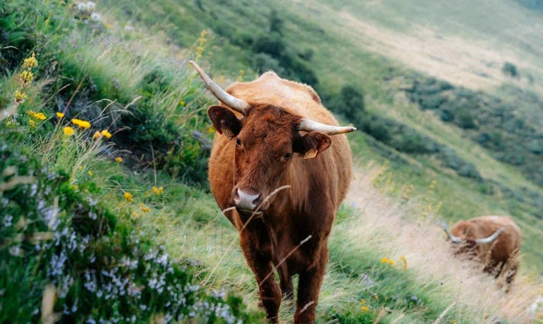 Urodziny, które rozbiły naszą rodzinę: Rok burzy i poszukiwania prawdy