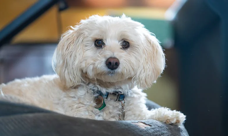 Wyrzucona z własnego życia: „Nie jesteś matką, jesteś przekleństwem” – Mój upadek i walka o syna