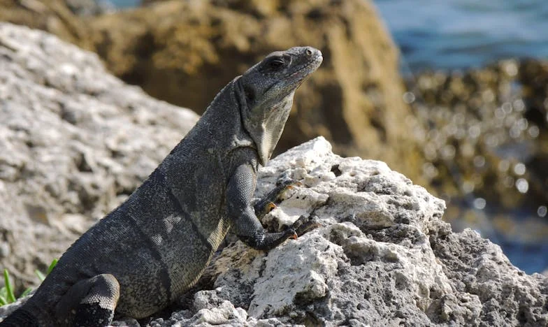 Zarejestrowałem samochód brata na siebie – i to był początek mojej życiowej katastrofy