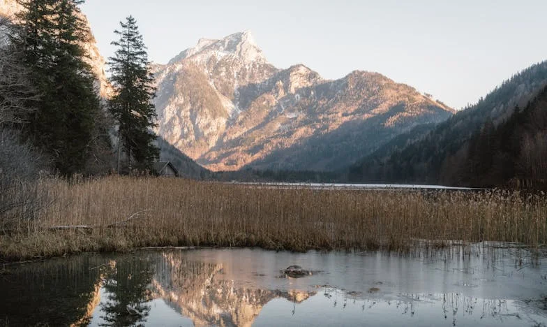 Zazdrość, która pali: Moja walka o rodzinę i własne miejsce w świecie