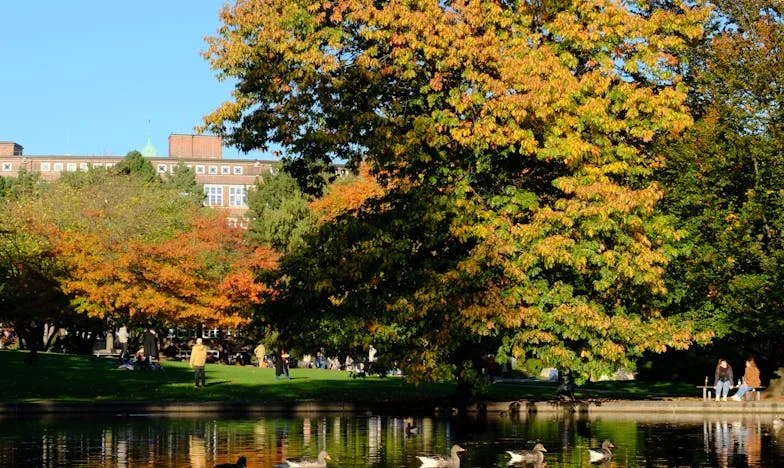 Zdrada, uzależnienie i wybory serca: Historia z polskiego miasta, której nie zapomnę