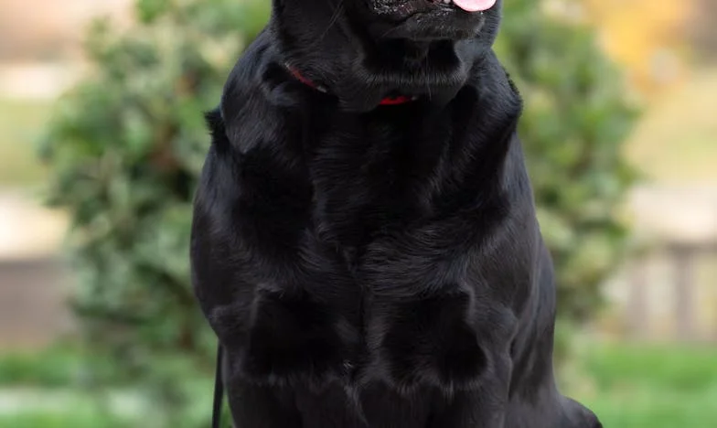 Bez łóżeczka, bez pieluch: Powrót do domu, który złamał mi serce – Moja historia samotnego macierzyństwa