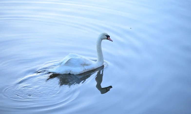 Była teściowa żąda połowy pieniędzy ze sprzedaży mieszkania – czy powinnam się poddać? Moja historia walki o własne życie