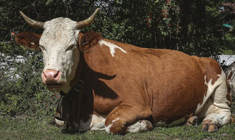 "Czy ktoś mnie widzi?" – Opowieść Marka o codzienności, która boli i nadziei, która rodzi się w ciszy