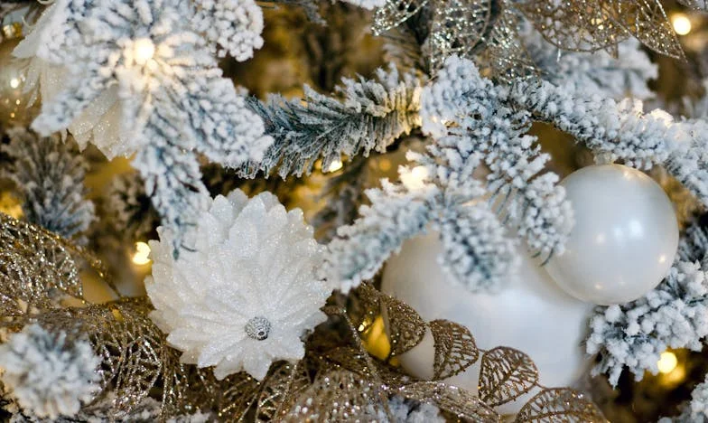 Gdzie jesteś, mamo? Opowieść o milczeniu, które boli bardziej niż krzyk